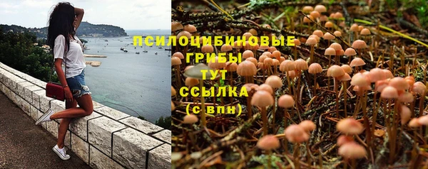 спайс Бородино