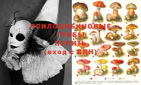 спайс Бородино