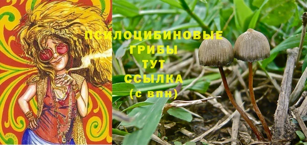 спайс Бородино