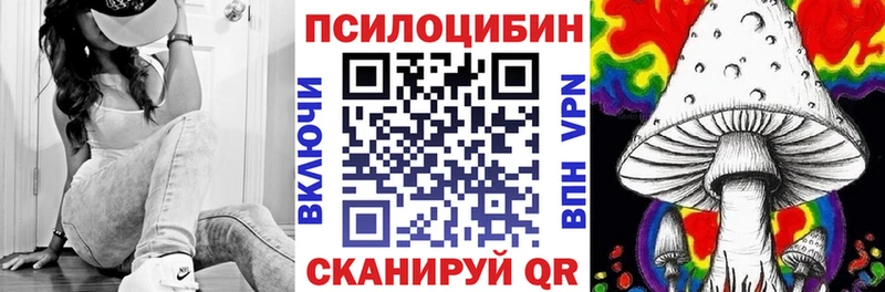 Псилоцибиновые грибы мицелий  Нерюнгри 